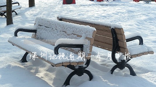 深圳地税逾期一个月申报 深圳地税逾期一个月申报