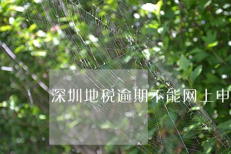 深圳地税逾期不能网上申报 深圳地税逾期不能网上申报