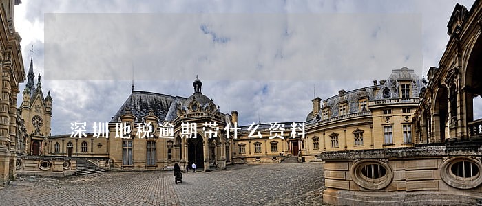 深圳地税逾期带什么资料 深圳地税逾期带什么资料