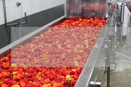 深圳地税逾期未报怎么办 深圳地税逾期未报怎么办