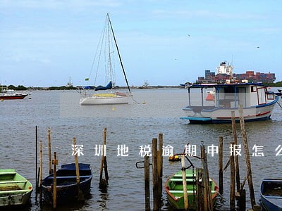 深圳地税逾期申报怎么处理 深圳地税逾期申报怎么处理