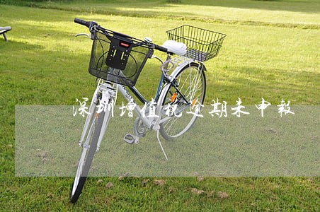 深圳增值税逾期未申报 深圳增值税逾期未申报