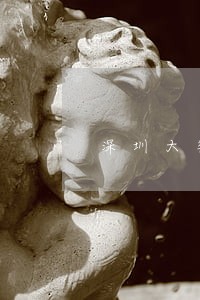 深圳大数金融货款逾期 深圳大数金融货款逾期