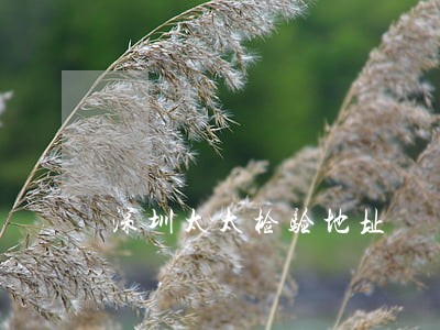 深圳太太检验地址 深圳太太检验地址