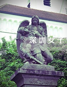 深圳女子假结婚信用卡逾期