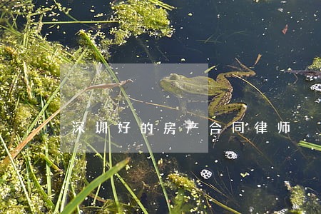 深圳好的房产合同律师 深圳好的房产合同律师