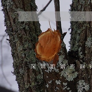 深圳婚姻咨询律师收费 深圳婚姻咨询律师收费