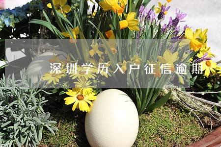 深圳学历入户征信逾期 深圳学历入户征信逾期