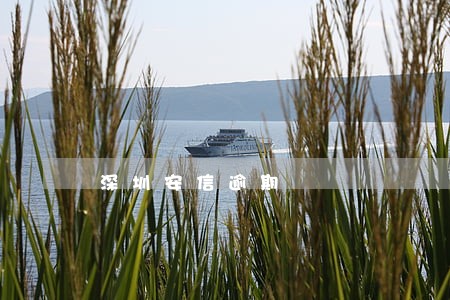 深圳安信逾期 深圳安信逾期