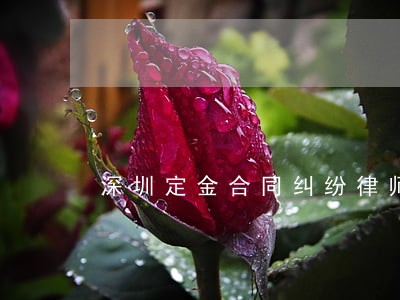 深圳定金合同纠纷律师 深圳定金合同纠纷律师