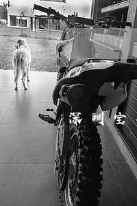 深圳宝安信用卡逾期 深圳宝安信用卡逾期
