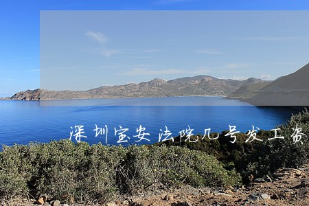 深圳宝安法院几号发工资 深圳宝安法院几号发工资