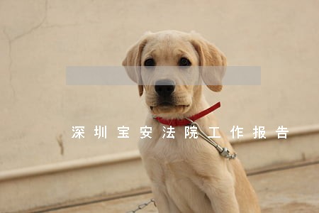 深圳宝安法院工作报告 深圳宝安法院工作报告