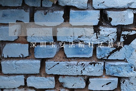 深圳宝安法院枉法裁判 深圳宝安法院枉法裁判