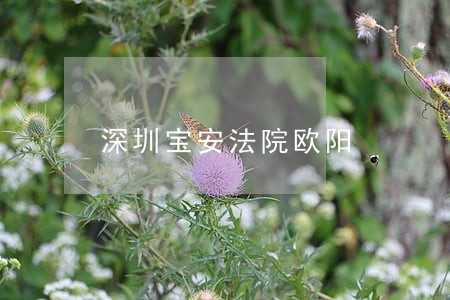 深圳宝安法院欧阳
