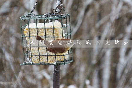 深圳宝安法院民二庭地址 深圳宝安法院民二庭地址