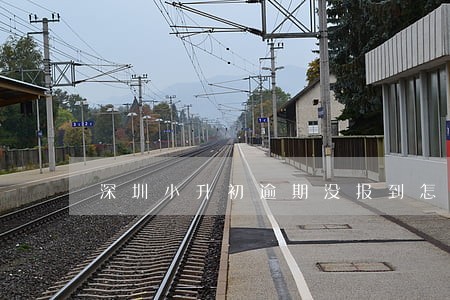 深圳小升初逾期没报到怎么办 深圳小升初逾期没报到怎么办