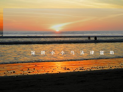 深圳小小鸟法律援助 深圳小小鸟法律援助