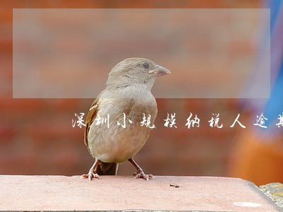 深圳小规模纳税人逾期申报罚款 深圳小规模纳税人逾期申报罚款
