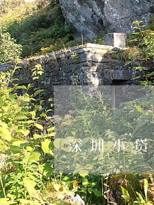 深圳小贷逾期怎么办 深圳小贷逾期怎么办