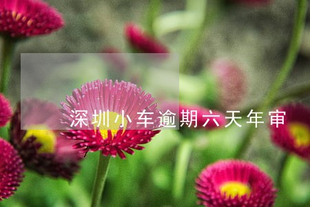 深圳小车逾期六天年审