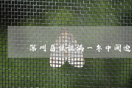 深圳居住证满一年中间逾期过 深圳居住证满一年中间逾期过