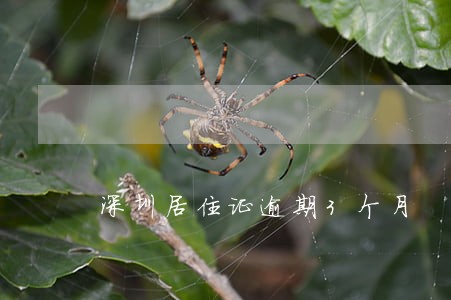 深圳居住证逾期3个月 深圳居住证逾期3个月