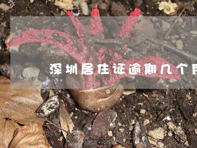 深圳居住证逾期几个月 深圳居住证逾期几个月