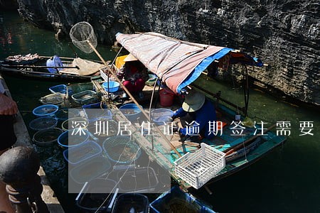 深圳居住证逾期签注需要换卡吗 深圳居住证逾期签注需要换卡吗