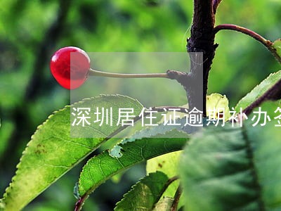 深圳居住证逾期补办签注 深圳居住证逾期补办签注