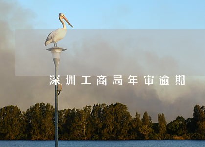 深圳工商局年审逾期 深圳工商局年审逾期