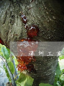 深圳工商年报逾期3年罚款多少 深圳工商年报逾期3年罚款多少