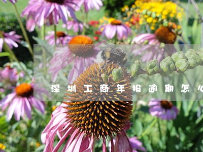 深圳工商年报逾期怎么处理 深圳工商年报逾期怎么处理