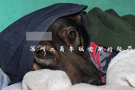 深圳工商年报逾期的处罚 深圳工商年报逾期的处罚