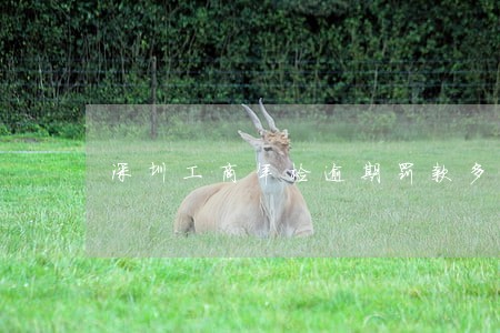 深圳工商年检逾期罚款多少钱 深圳工商年检逾期罚款多少钱