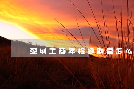 深圳工商年检逾期要怎么才能申报 深圳工商年检逾期要怎么才能申报