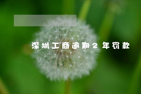深圳工商逾期2年罚款 深圳工商逾期2年罚款