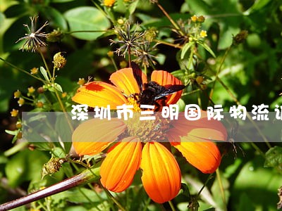 深圳市三明国际物流诉讼 深圳市三明国际物流诉讼