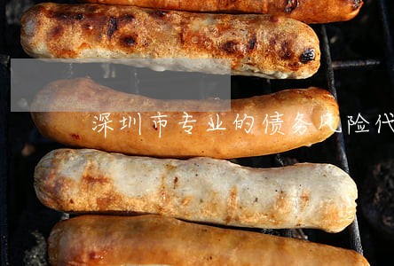 深圳市专业的债务风险代理律师