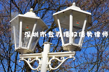 深圳市专办债权债务律师 深圳市专办债权债务律师