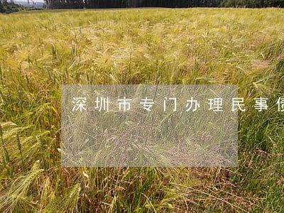 深圳市专门办理民事债务律师网站 深圳市专门办理民事债务律师网站
