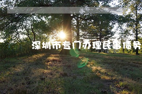 深圳市专门办理民事债务纠纷律师 深圳市专门办理民事债务纠纷律师