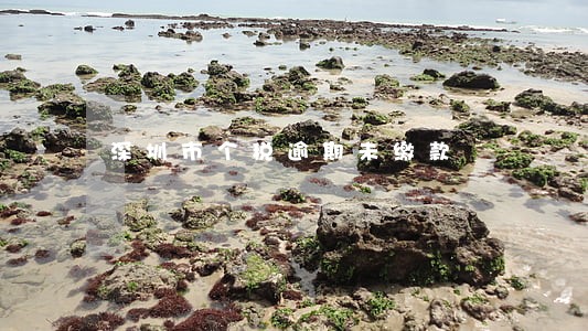 深圳市个税逾期未缴款 深圳市个税逾期未缴款