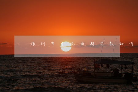 深圳市个税逾期罚款如何计算的 深圳市个税逾期罚款如何计算的