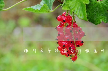 深圳市个税逾期补报要什么资料 深圳市个税逾期补报要什么资料