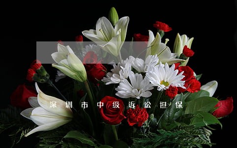 深圳市中级诉讼担保