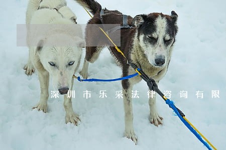 深圳市乐采法律咨询有限公司