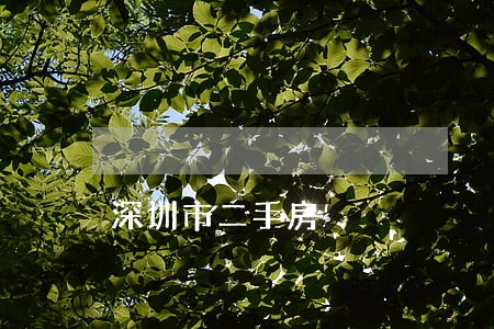 深圳市二手房 深圳市二手房
