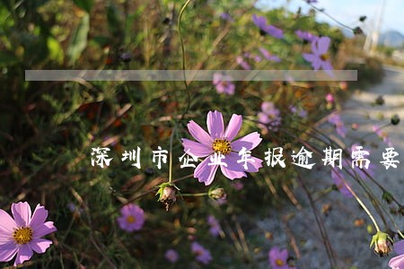 深圳市企业年报逾期需要罚款吗