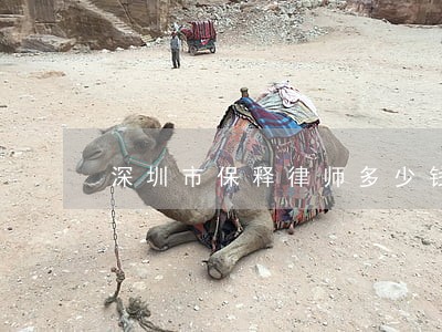 深圳市保释律师多少钱 深圳市保释律师多少钱